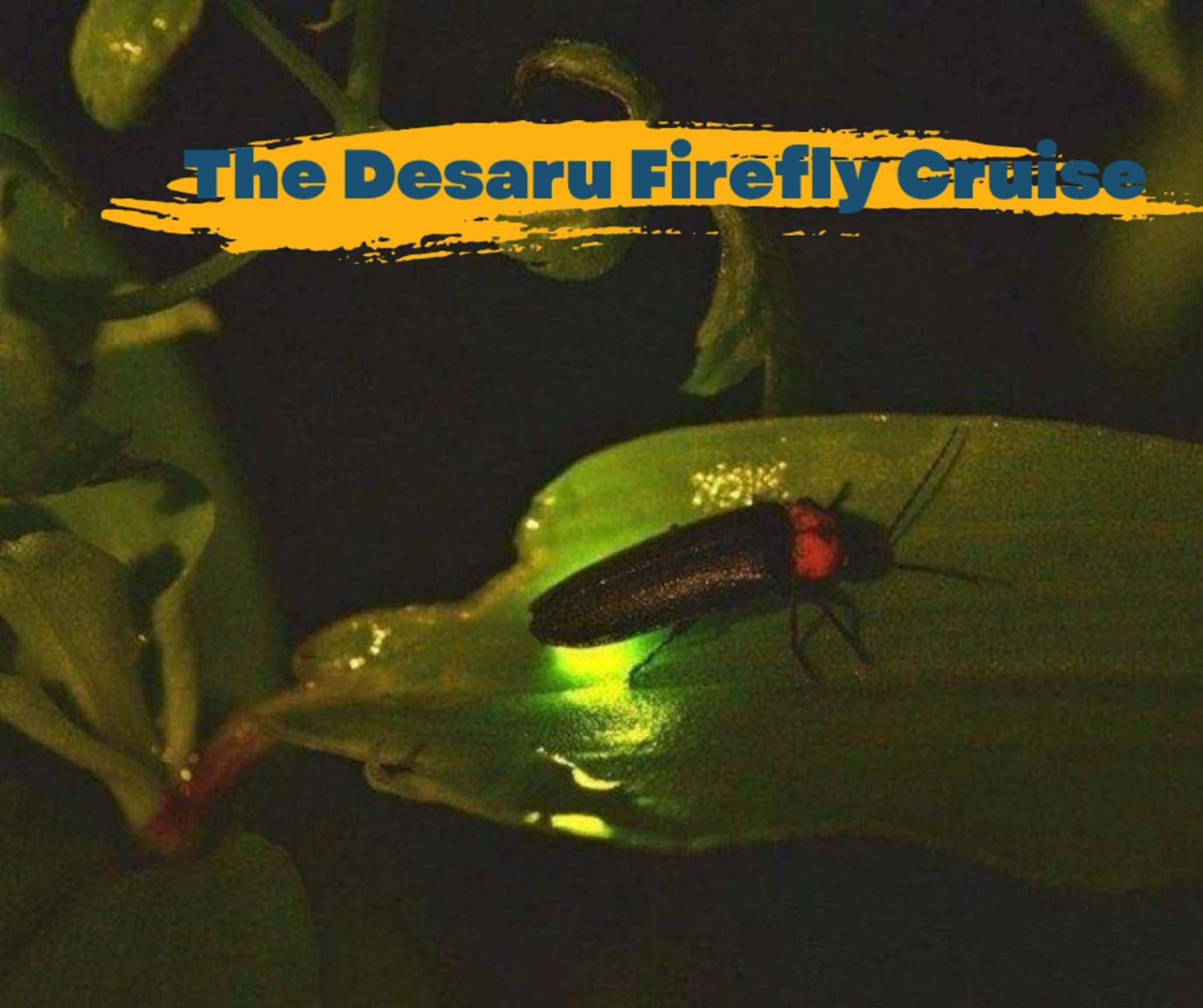 Desaru Johor By Glex Villa Dış mekan fotoğraf