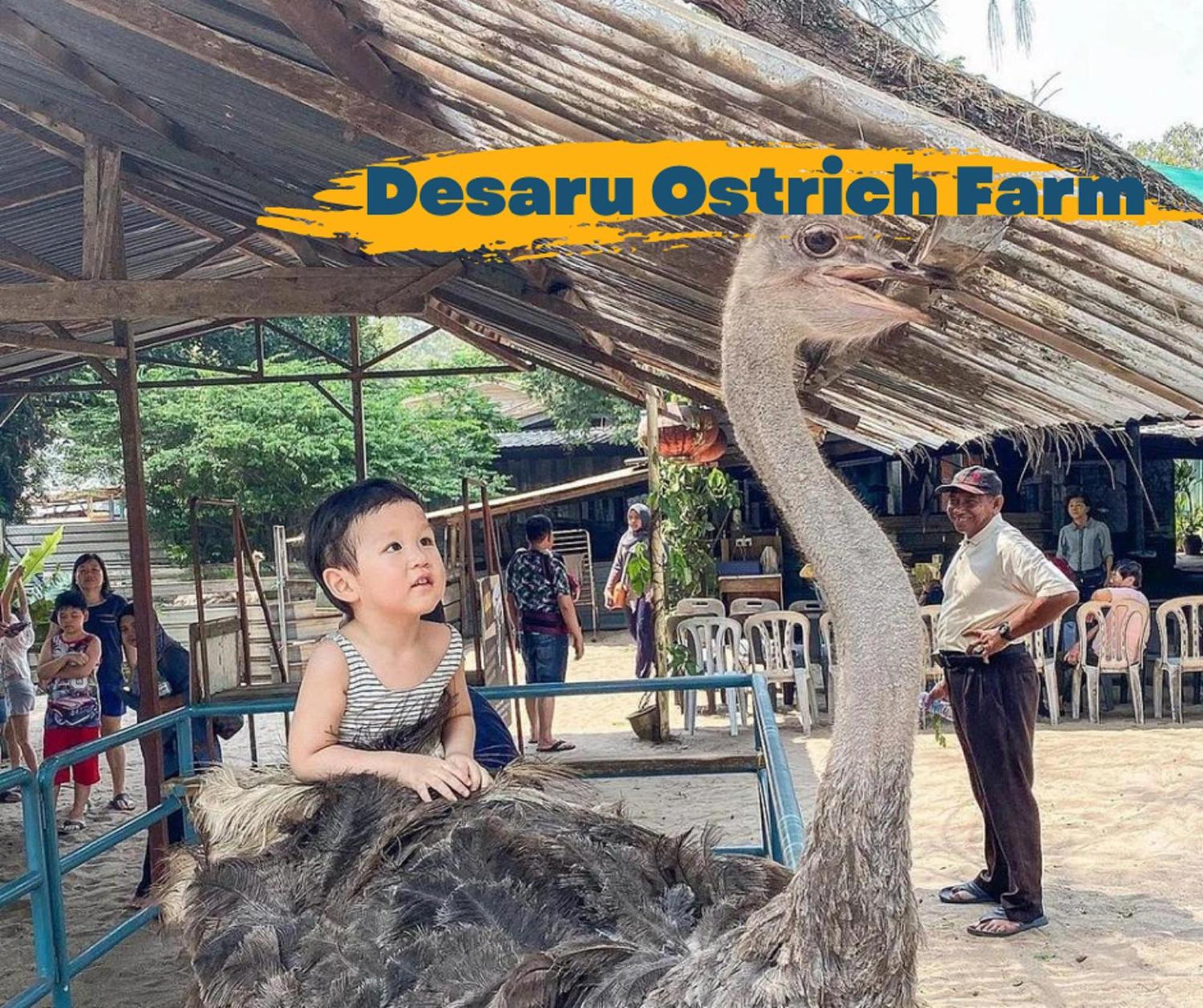 Desaru Johor By Glex Villa Dış mekan fotoğraf